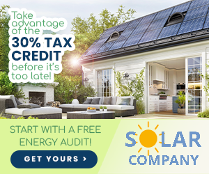 taxcredit_300x250 taxcredit_300x250